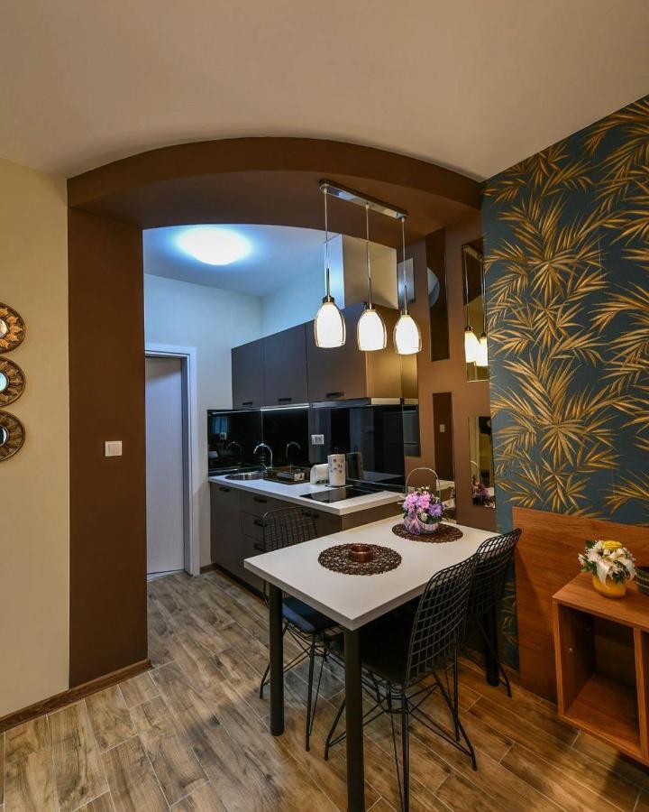 Apartman Dolar Kraljevo Exteriör bild